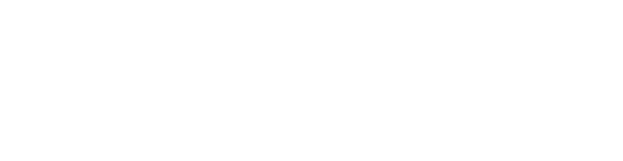 vt-capital-venture-opt